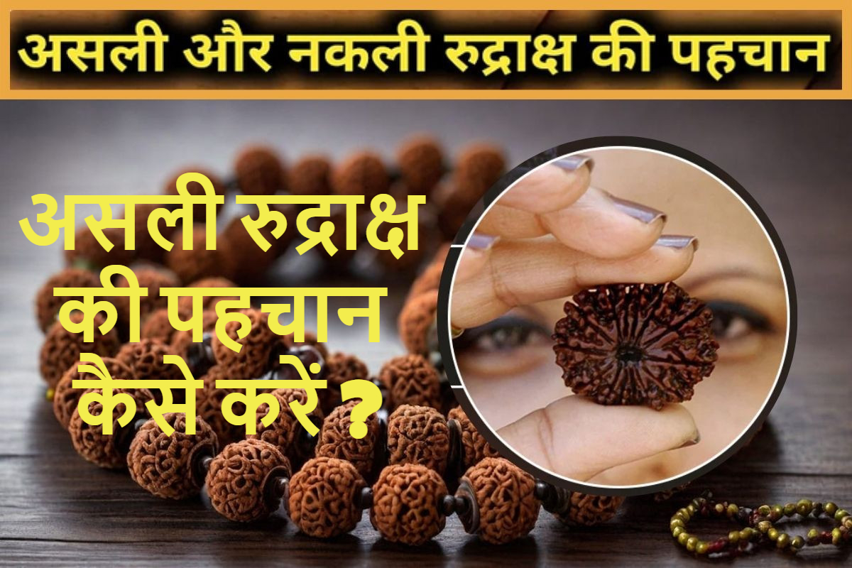 How to Identify Original Rudraksha